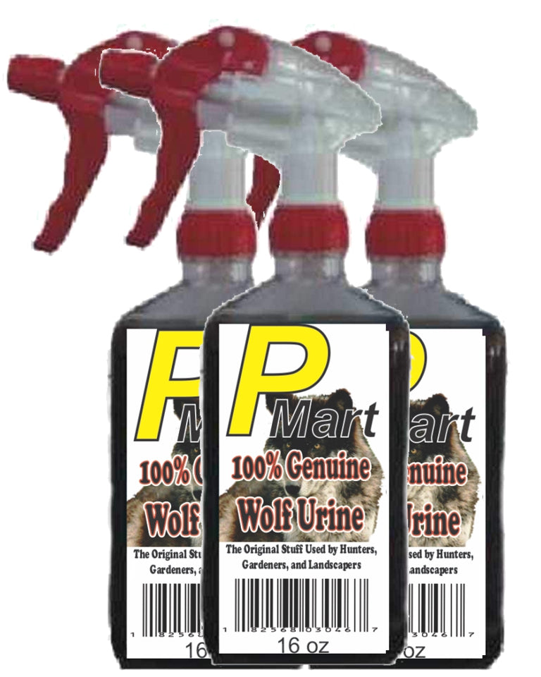 Spray Bottle with Trigger, 16 oz, 3/Pack